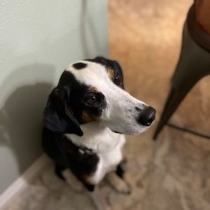 Meet your Posher, Jonathon